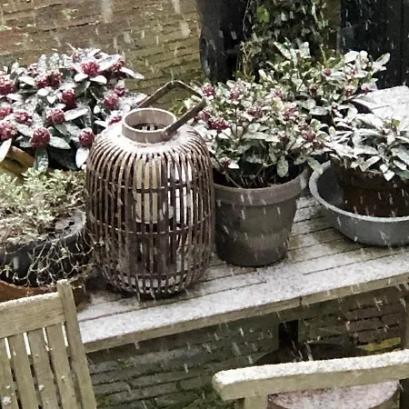 Ferienhaus T Ateliertje Noort