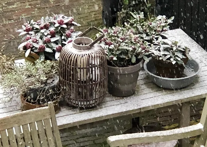 בית נופש T Ateliertje Noort